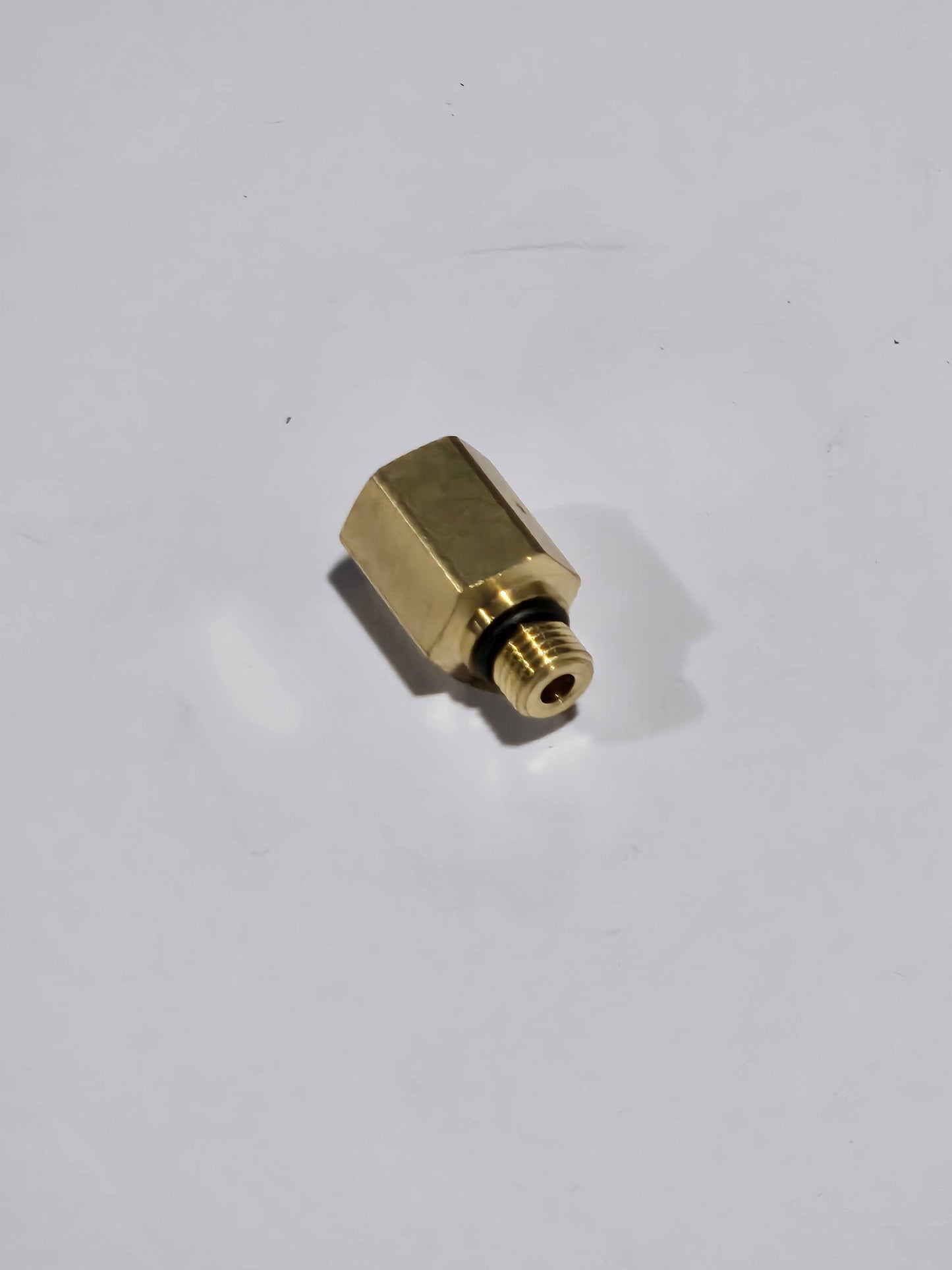 336297P1