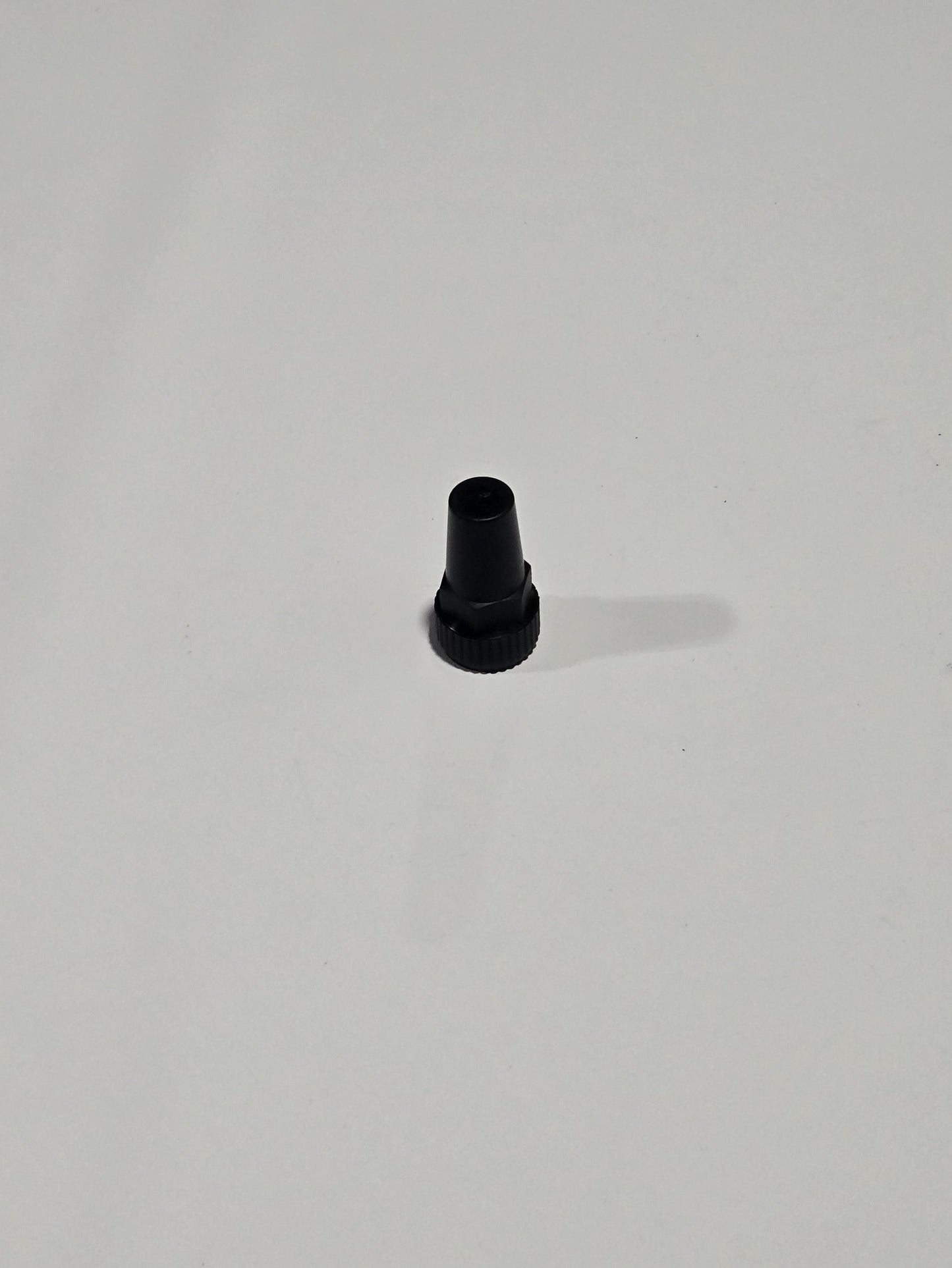 309418P1